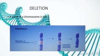DELETION
• A piece of a chromosome is lost
 