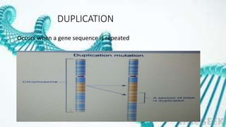 DUPLICATION
Occurs when a gene sequence is repeated
 