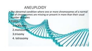 ANEUPLOIDY
• The abnormal condition where one or more chromosomes of a normal
set of chromosomes are missing or present in more than their usual
number of copies
• TYPES-
1.nullisomy
2.monosomy
3.trisomy
4. tetrasomy
 
