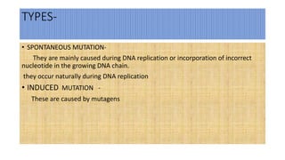 TYPES-
• SPONTANEOUS MUTATION-
They are mainly caused during DNA replication or incorporation of incorrect
nucleotide in the growing DNA chain.
they occur naturally during DNA replication
• INDUCED MUTATION -
These are caused by mutagens
 