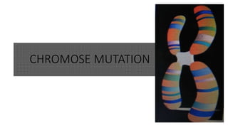 CHROMOSE MUTATION
 