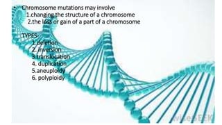 • Chromosome mutations may involve
1.changing the structure of a chromosome
2.the loss or gain of a part of a chromosome
TYPES-
1.deletion
2. inversion
3.translocation
4. duplication
5.aneuploidy
6. polyploidy
 
