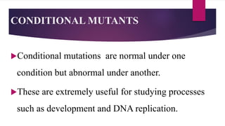 CONDITIONAL MUTANTS
Conditional mutations are normal under one
condition but abnormal under another.
These are extremely useful for studying processes
such as development and DNA replication.
 