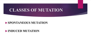 CLASSES OF MUTATION
 SPONTANEOUS MUTATION
 INDUCED MUTATION
 