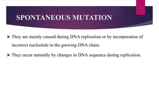 SPONTANEOUS MUTATION
 They are mainly caused during DNA replication or by incorporation of
incorrect nucleotide in the growing DNA chain.
 They occur naturally by changes in DNA sequence during replication.
 
