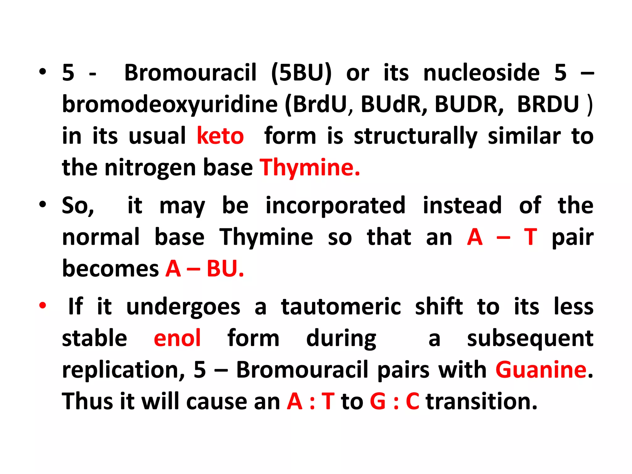 • 5 - Bromouracil (5BU) or its nucleoside 5 –
bromodeoxyuridine (BrdU, BUdR, BUDR, BRDU )
in its usual keto form is structurally similar to
the nitrogen base Thymine.
• So, it may be incorporated instead of the
normal base Thymine so that an A – T pair
becomes A – BU.
• If it undergoes a tautomeric shift to its less
stable enol form during a subsequent
replication, 5 – Bromouracil pairs with Guanine.
Thus it will cause an A : T to G : C transition.
 