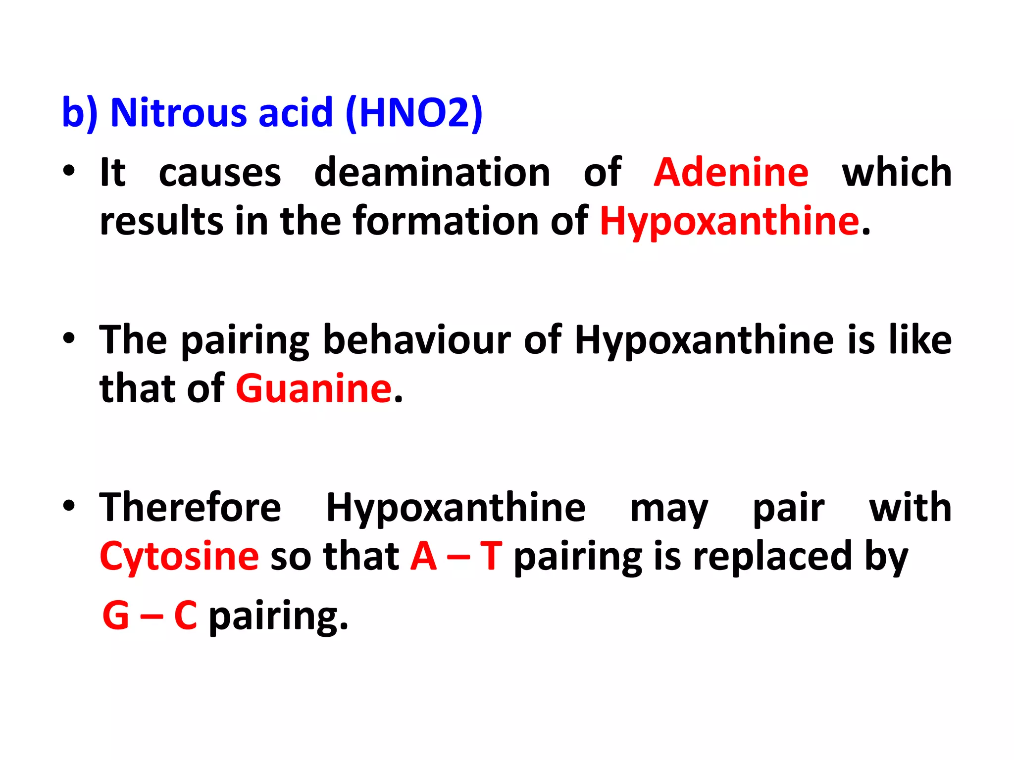 b) Nitrous acid (HNO2)
• It causes deamination of Adenine which
results in the formation of Hypoxanthine.
• The pairing behaviour of Hypoxanthine is like
that of Guanine.
• Therefore Hypoxanthine may pair with
Cytosine so that A – T pairing is replaced by
G – C pairing.
 