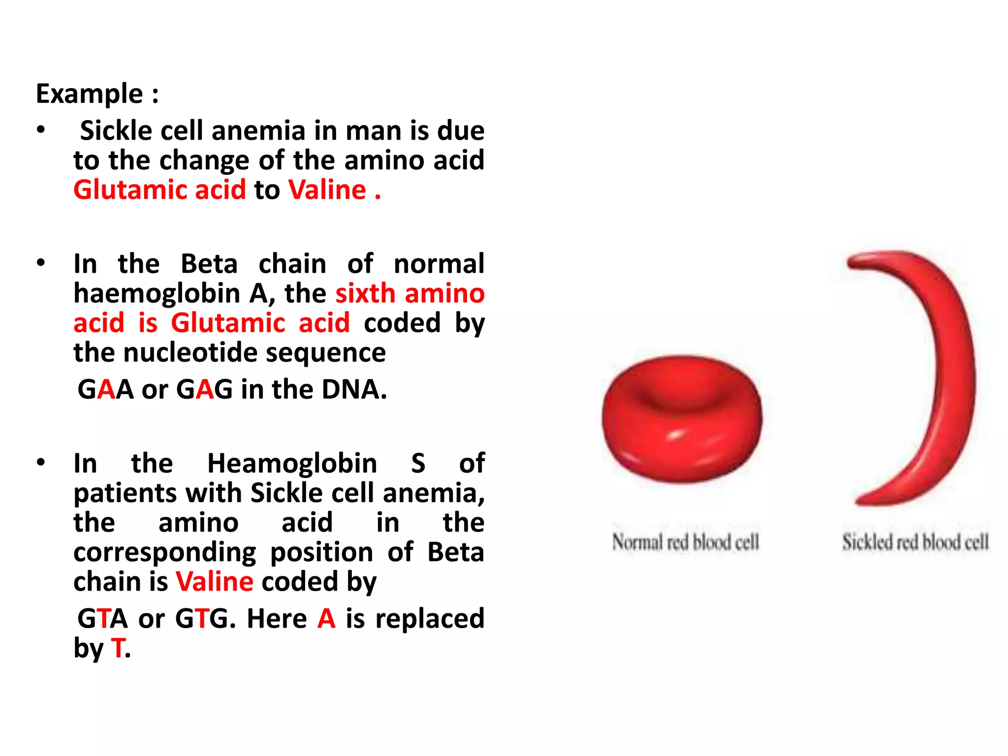 Example :
• Sickle cell anemia in man is due
to the change of the amino acid
Glutamic acid to Valine .
• In the Beta chain of normal
haemoglobin A, the sixth amino
acid is Glutamic acid coded by
the nucleotide sequence
GAA or GAG in the DNA.
• In the Heamoglobin S of
patients with Sickle cell anemia,
the amino acid in the
corresponding position of Beta
chain is Valine coded by
GTA or GTG. Here A is replaced
by T.
 