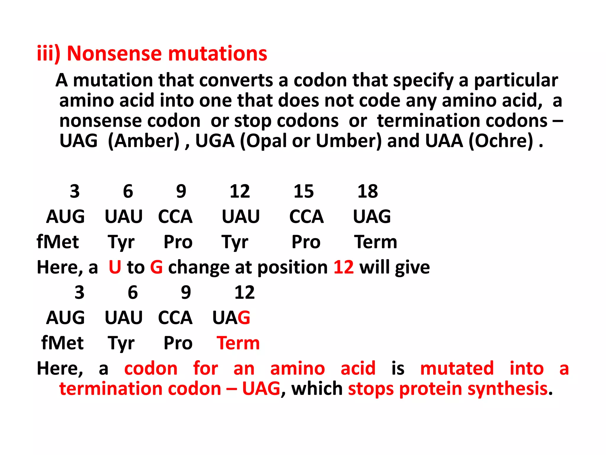iii) Nonsense mutations
A mutation that converts a codon that specify a particular
amino acid into one that does not code any amino acid, a
nonsense codon or stop codons or termination codons –
UAG (Amber) , UGA (Opal or Umber) and UAA (Ochre) .
3 6 9 12 15 18
AUG UAU CCA UAU CCA UAG
fMet Tyr Pro Tyr Pro Term
Here, a U to G change at position 12 will give
3 6 9 12
AUG UAU CCA UAG
fMet Tyr Pro Term
Here, a codon for an amino acid is mutated into a
termination codon – UAG, which stops protein synthesis.
 