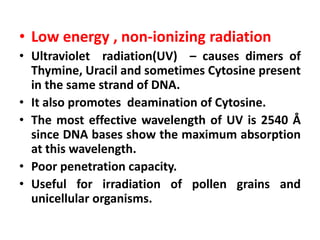 • Low energy , non-ionizing radiation
• Ultraviolet radiation(UV) – causes dimers of
Thymine, Uracil and sometimes Cytosine present
in the same strand of DNA.
• It also promotes deamination of Cytosine.
• The most effective wavelength of UV is 2540 Å
since DNA bases show the maximum absorption
at this wavelength.
• Poor penetration capacity.
• Useful for irradiation of pollen grains and
unicellular organisms.
 