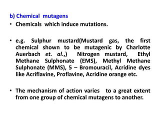 b) Chemical mutagens
• Chemicals which induce mutations.
• e.g. Sulphur mustard(Mustard gas, the first
chemical shown to be mutagenic by Charlotte
Auerbach et. al.,) Nitrogen mustard, Ethyl
Methane Sulphonate (EMS), Methyl Methane
Sulphonate (MMS), 5 – Bromouracil, Acridine dyes
like Acriflavine, Proflavine, Acridine orange etc.
• The mechanism of action varies to a great extent
from one group of chemical mutagens to another.
 