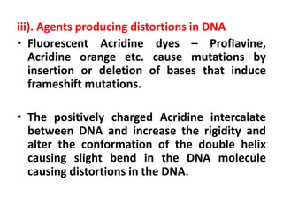 iii). Agents producing distortions in DNA
• Fluorescent Acridine dyes – Proflavine,
Acridine orange etc. cause mutations by
insertion or deletion of bases that induce
frameshift mutations.
• The positively charged Acridine intercalate
between DNA and increase the rigidity and
alter the conformation of the double helix
causing slight bend in the DNA molecule
causing distortions in the DNA.
 