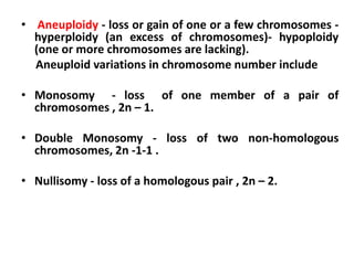 • Aneuploidy - loss or gain of one or a few chromosomes -
hyperploidy (an excess of chromosomes)- hypoploidy
(one or more chromosomes are lacking).
Aneuploid variations in chromosome number include
• Monosomy - loss of one member of a pair of
chromosomes , 2n – 1.
• Double Monosomy - loss of two non-homologous
chromosomes, 2n -1-1 .
• Nullisomy - loss of a homologous pair , 2n – 2.
 