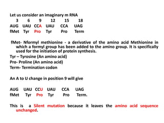 Let us consider an imaginary m RNA
3 6 9 12 15 18
AUG UAU CCA UAU CCA UAG
fMet Tyr Pro Tyr Pro Term
fMet- Nformyl methionine - a derivative of the amino acid Methionine in
which a formyl group has been added to the amino group. It is specifically
used for the initiation of protein synthesis.
Tyr – Tyrosine (An amino acid)
Pro- Proline (An amino acid)
Term- Termination codon
An A to U change in position 9 will give
AUG UAU CCU UAU CCA UAG
fMet Tyr Pro Tyr Pro Term.
This is a Silent mutation because it leaves the amino acid sequence
unchanged.
 