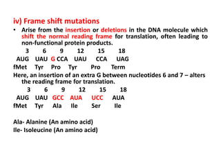 iv) Frame shift mutations
• Arise from the insertion or deletions in the DNA molecule which
shift the normal reading frame for translation, often leading to
non-functional protein products.
3 6 9 12 15 18
AUG UAU G CCA UAU CCA UAG
fMet Tyr Pro Tyr Pro Term
Here, an insertion of an extra G between nucleotides 6 and 7 – alters
the reading frame for translation.
3 6 9 12 15 18
AUG UAU GCC AUA UCC AUA
fMet Tyr Ala Ile Ser Ile
Ala- Alanine (An amino acid)
Ile- Isoleucine (An amino acid)
 