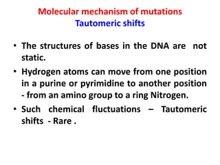 Molecular mechanism of mutations
Tautomeric shifts
• The structures of bases in the DNA are not
static.
• Hydrogen atoms can move from one position
in a purine or pyrimidine to another position
- from an amino group to a ring Nitrogen.
• Such chemical fluctuations – Tautomeric
shifts - Rare .
 