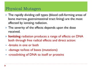 mutations.pdf