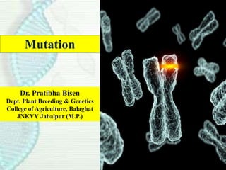Mutation
Dr. Pratibha Bisen
Dept. Plant Breeding & Genetics
College of Agriculture, Balaghat
JNKVV Jabalpur (M.P.)
 