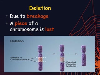 Deletion
• Due to breakage
• A piece of a
chromosome is lost
 