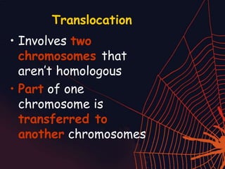 Translocation
• Involves two
chromosomes that
aren’t homologous
• Part of one
chromosome is
transferred to
another chromosomes
 