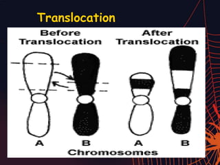 Translocation
 