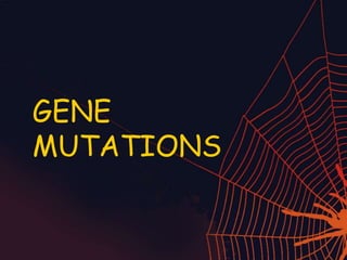 GENE
MUTATIONS
 