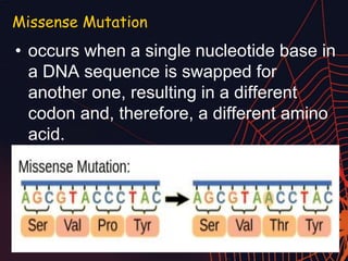 Missense Mutation
• occurs when a single nucleotide base in
a DNA sequence is swapped for
another one, resulting in a different
codon and, therefore, a different amino
acid.
 