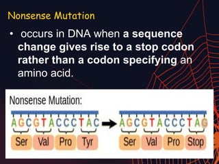Nonsense Mutation
• occurs in DNA when a sequence
change gives rise to a stop codon
rather than a codon specifying an
amino acid.
 