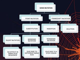 GENE MUTATION
POINT MUTATION
SUBSTITUTION
SILENT MUTATION
NO EFFECT IN
AMINO ACID
SEQUENCE
MISSENSE
MUTATION
GIVE RISE TO
DIFFERENT AMINO
ACID
NONSENSE
MUTATION
GIVE RISE TO A
STOP CODON
FRAMESHIFT MUTATION
INSERTION DELETION
 