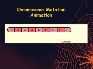 Chromosome Mutation
Animation
 