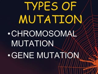 TYPES OF
MUTATION
•CHROMOSOMAL
MUTATION
•GENE MUTATION
 