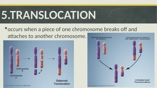 MUTATION-SCIENCE 8 POWERPOINT PRESENT | PPTX