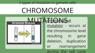 PowerPoint Presentation on Mutations.pptx