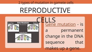 PowerPoint Presentation on Mutations.pptx