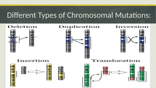 Science Mutation Examples MUTATIONS -SCIENCE 10 POWERPOINT PRESENT | PPTX