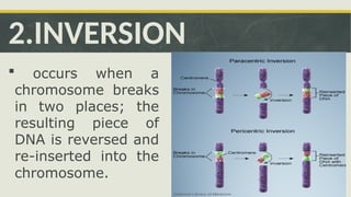 MUTATIONS -SCIENCE 10 POWERPOINT PRESENT | PPTX