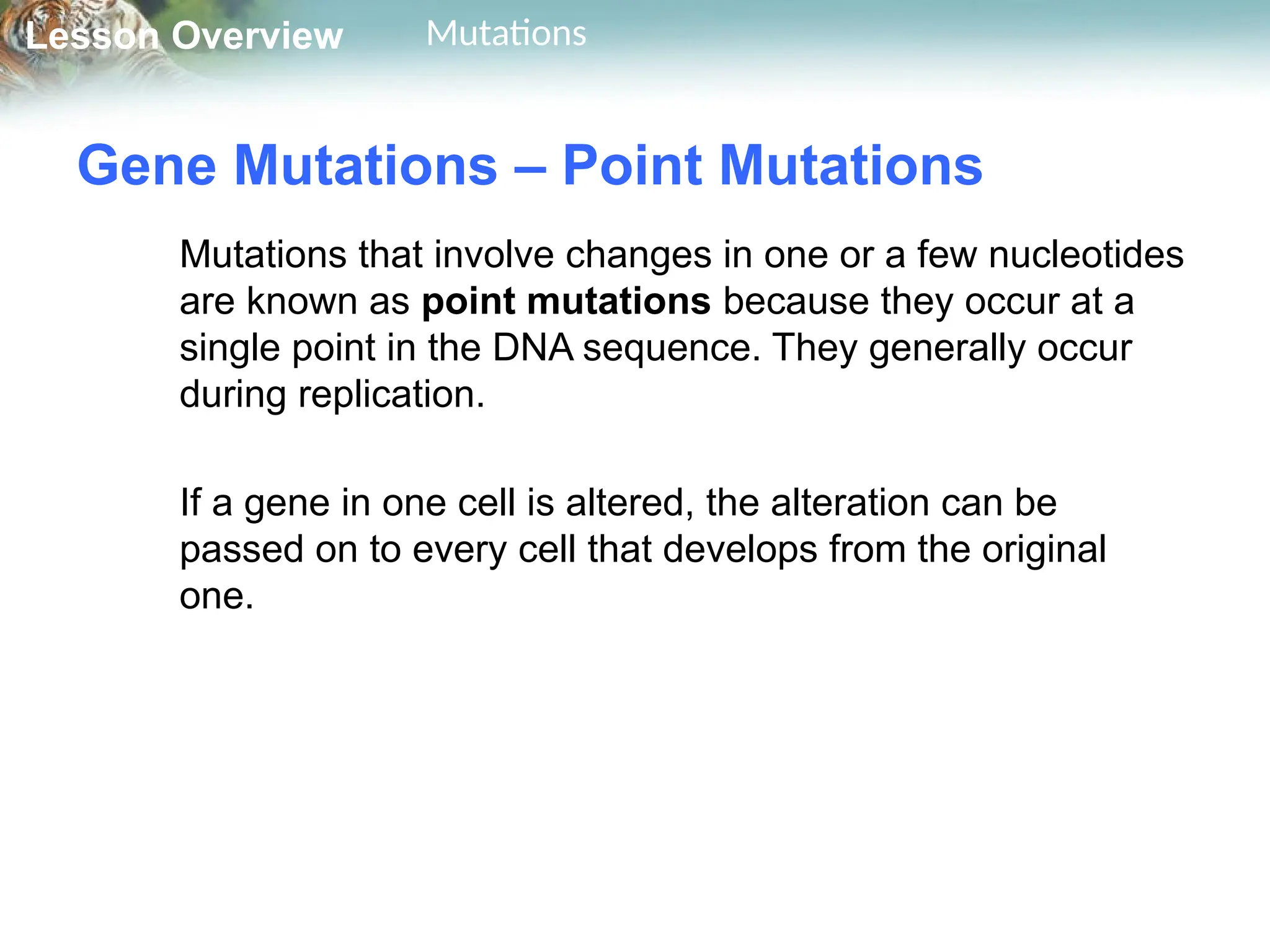 Mutatisasasasasasasasasasasasasasons.ppt.pptx