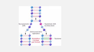 Mutations Class 12 MUTATIONS, CLASSIFIICATION AND MOLECULAR BASIS.ppt