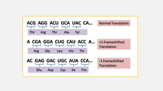 Mutations Class 12 MUTATIONS, CLASSIFIICATION AND MOLECULAR BASIS.ppt