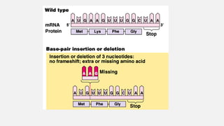 Mutations Class 12 MUTATIONS, CLASSIFIICATION AND MOLECULAR BASIS.ppt