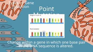 PowerPoint presentation for Mutation and its classifications. | PPTX