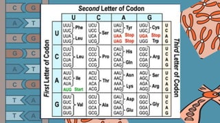 Mutant Classifications PowerPoint presentation for Mutation and its classifications. | PPTX