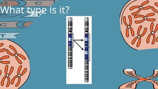 PowerPoint presentation for Mutation and its classifications. | PPTX