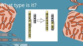 PowerPoint presentation for Mutation and its classifications. | PPTX