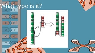 PowerPoint presentation for Mutation and its classifications. | PPTX
