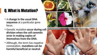 Mutations Description DNA, rna, mutations powerpoint.......... | PPTX