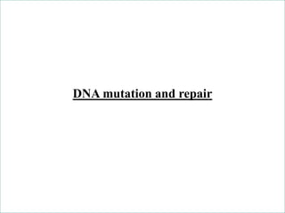DNA mutation and repair
 