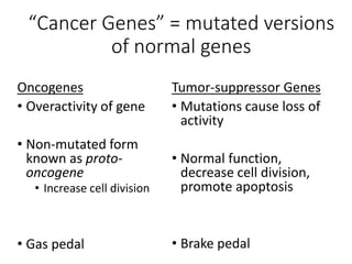 Mutations and Cancer | PPTX
