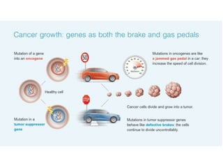Mutations and Cancer | PPTX