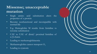 Mutations and Cancer | Genetic Mutations in Disease Explained | PPTX